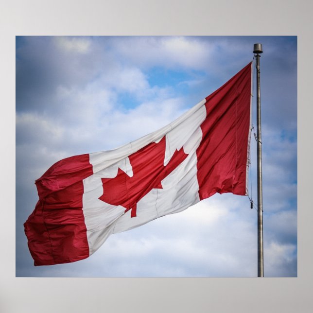 Poster Feliz dia do Canadá, Red e White Flag canadense (Frente)