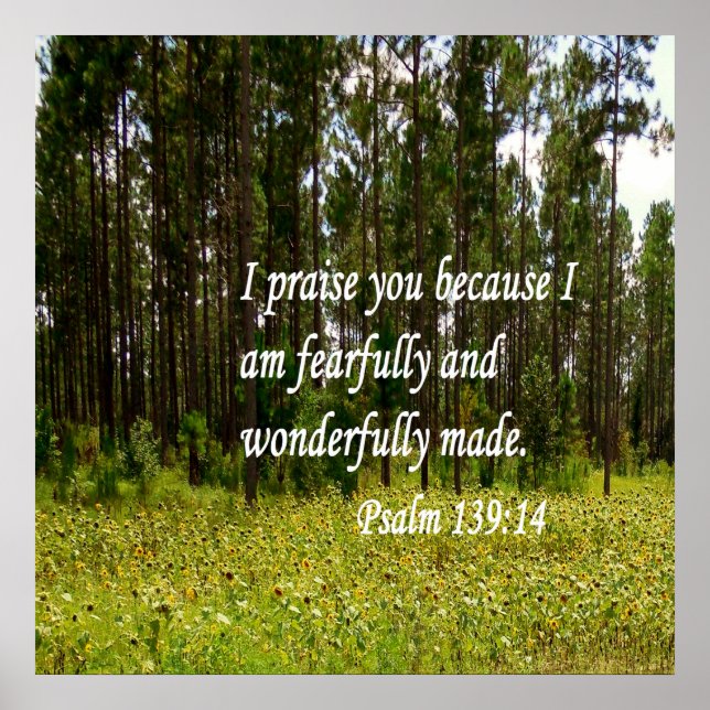 Poster Feliz e Maravilhosamente Feito (Frente)