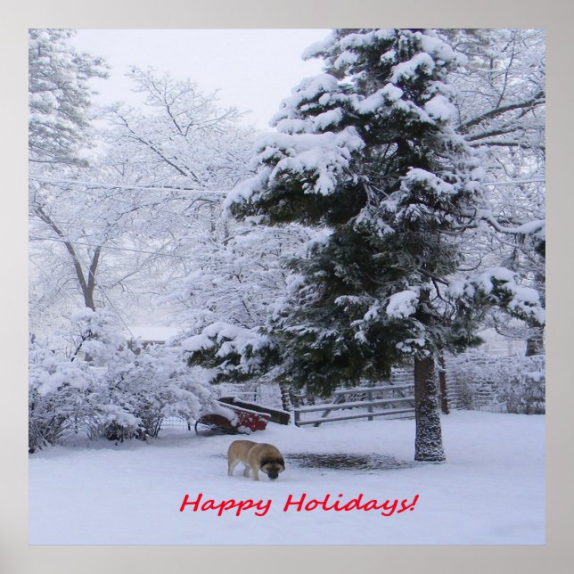 Poster Feliz Feriados!.. (Frente)