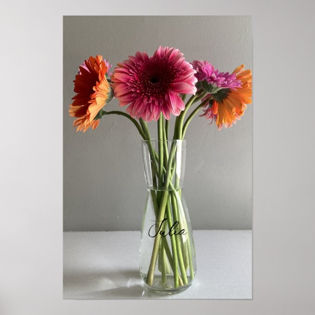 Poster Feliz Gerbera Colorida Flor +Nome Personalizado (Frente)