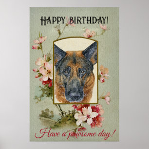 Poster Feliz German shepherd de Saudações de Aniversário