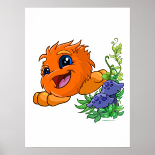 Pôster Feliz Jub de laranja no Neopia Central