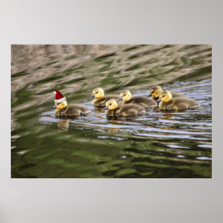 Poster Feliz Natal, Bebê Geese