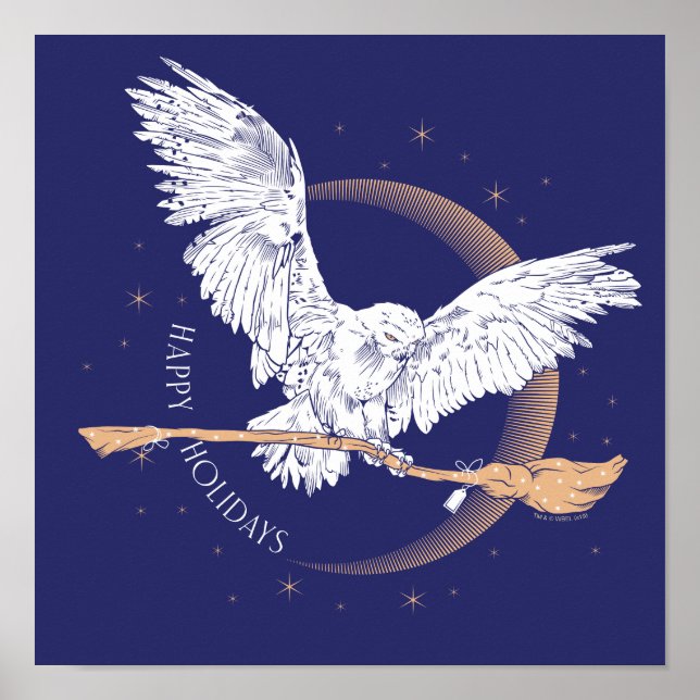 Poster Feliz Natal Entrega da Hedwig (Frente)