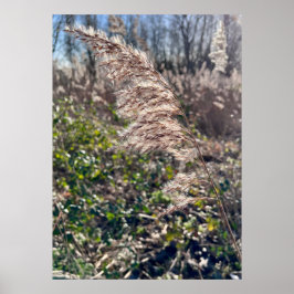 Poster Feliz outono.