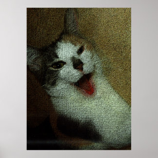 Poster Feliz Querida