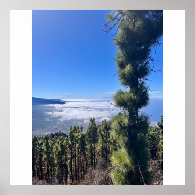 Poster Feliz Tenerife. (Frente)