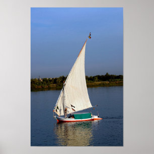Poster Felucca navegando pelo Nilo - Aswan, Egito
