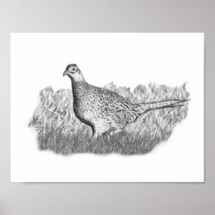 Pôster Female Pheasant