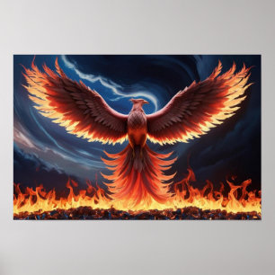 Poster Fenix Ardente Ressurge das Cinzas