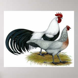 Poster Fênix: Par De Pata De Prata