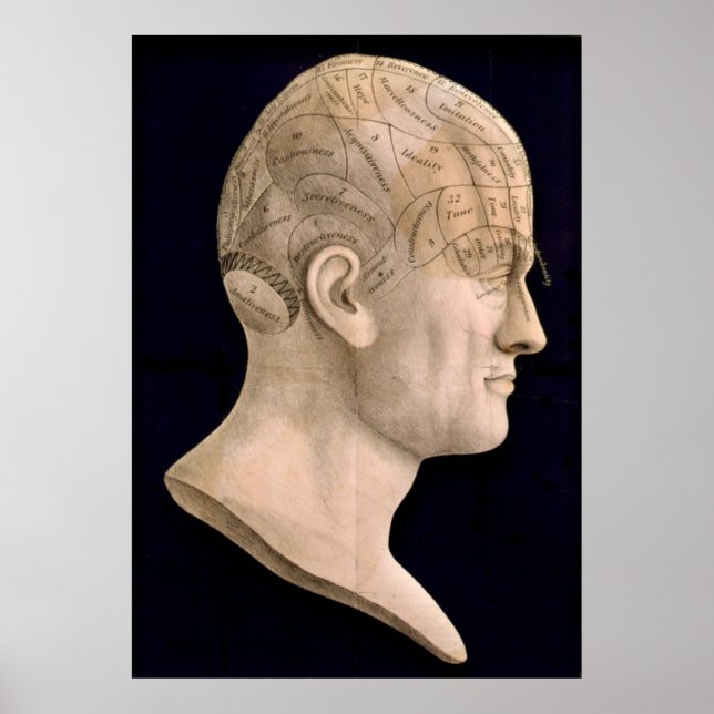 Pôster Fenologia 1834 (Frente)