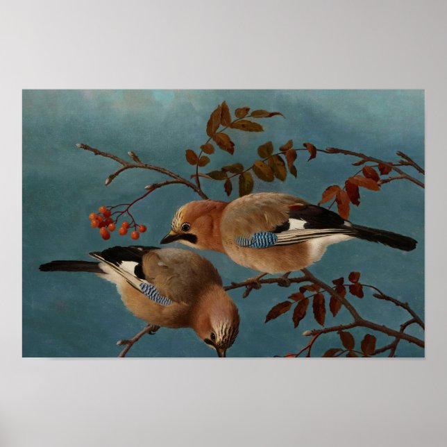 Poster Ferdinand von Wright - Jays (Frente)