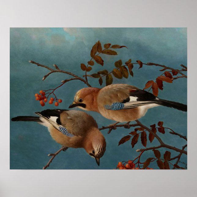 Poster Ferdinand von Wright - Jays (Frente)