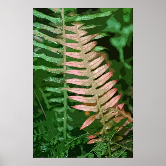 PÔSTER FERN 1 (Frente)