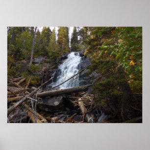 Poster Fern Falls no Parque Nacional da Montanha Rocky