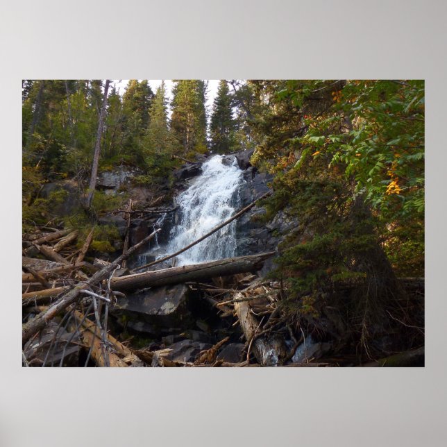 Poster Fern Falls no Parque Nacional Rocky Mountain (Frente)