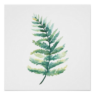 Pôster Fern Frond Watercolor Poster