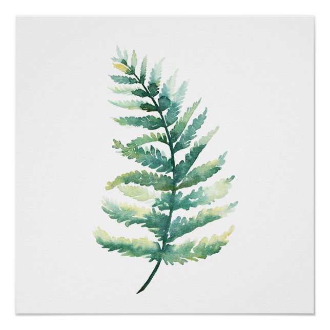 Pôster Fern Frond Watercolor Poster (Frente)