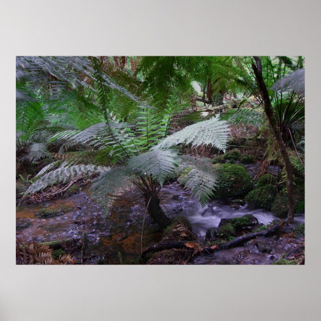 Pôster Fern gully (Frente)