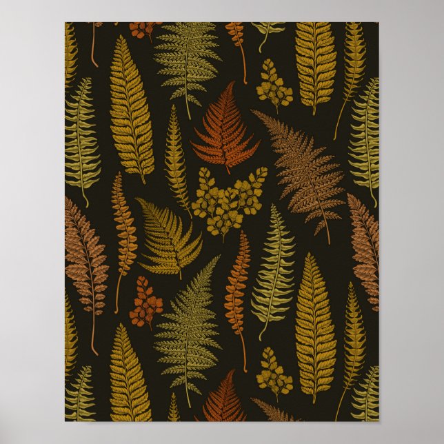 Poster ferns 3 (Frente)