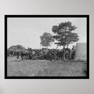 Pôster Ferreiro que calça cavalos em Antietam 1862