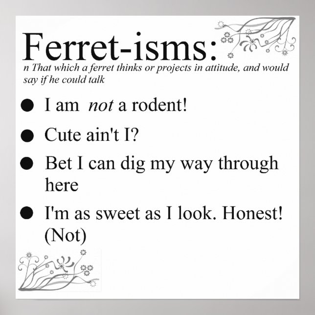 Pôster Ferret Faces Sayings and Cotes (Frente)