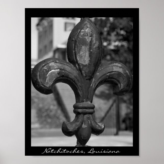 Pôster Ferro Fleur de lis Natchitoches (Frente)