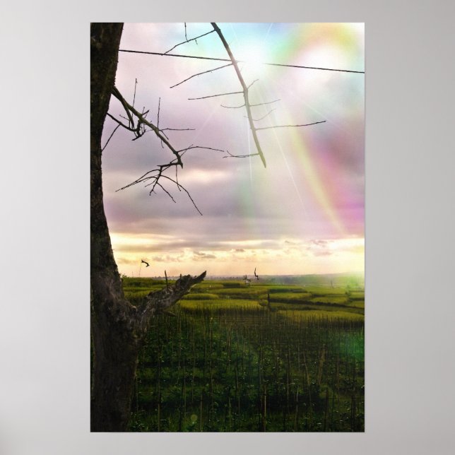 Poster Fés de Bali (Frente)