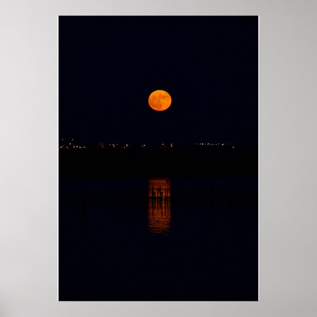 Poster festa da lua de cheio (Frente)