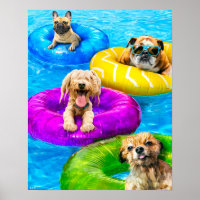 Festa da Piscina do Cachorro