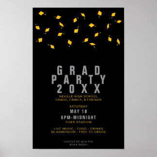 Poster Festa de Formatura Prata e Ouro Lançamento de Boin