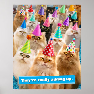 Poster Festa de Gatos