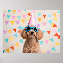 Festa de Poodle Adorável