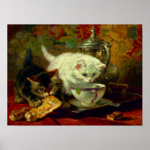 Poster Festa de Tea Kittens