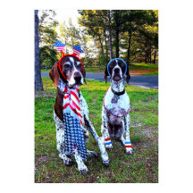 Festa Patriótica de Celebração com Cachorros Quent