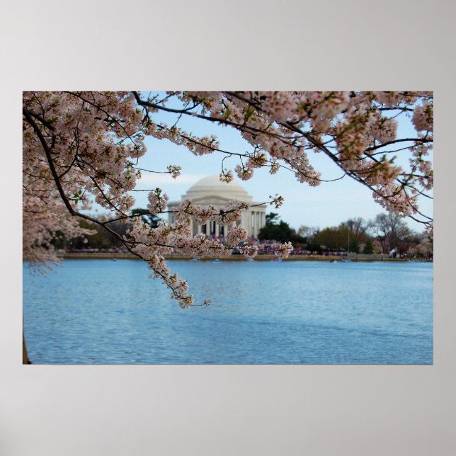 Poster Festival Cherry Blossom e Memorial Jefferson (Frente)