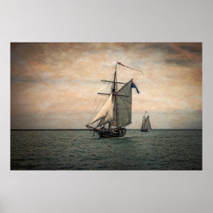 Poster Festival de Tall Ships