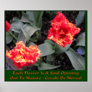 Pôster Festival Skagit Valley Tulip