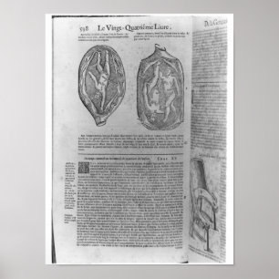 Pôster Feto, ilustração 'das obras