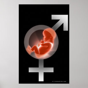 Pôster Feto sobrepor sobre os símbolos masculinos e