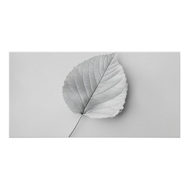 Pôster Feuille Minimaliste Monochrome (Frente)