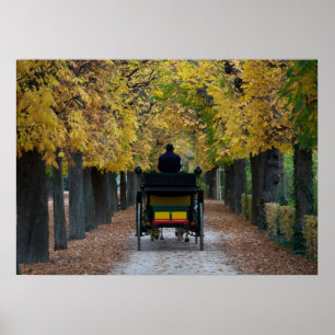 Poster Fiaker Em Schönbrunn, Wien Österreich