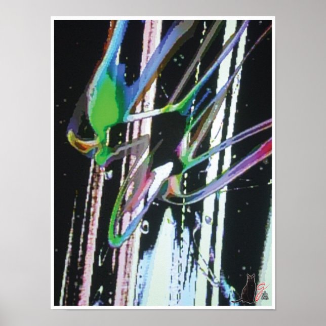 Poster Fiberous KC Image (Frente)