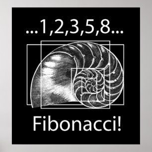 Pôster Fibonacci
