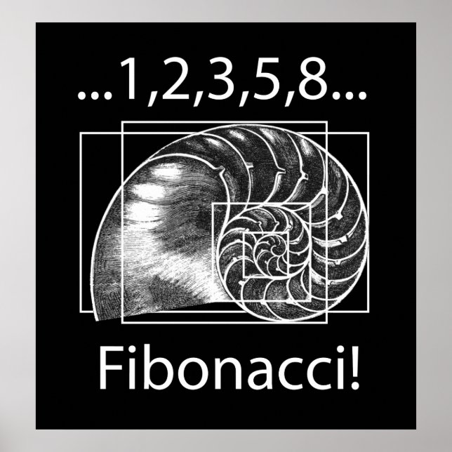 Pôster Fibonacci (Frente)