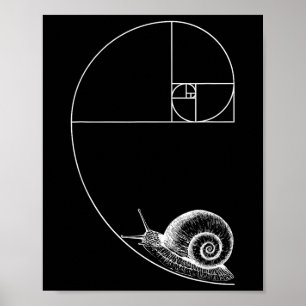 Poster Fibonacci Com Matemática De Caracol Geom Professor