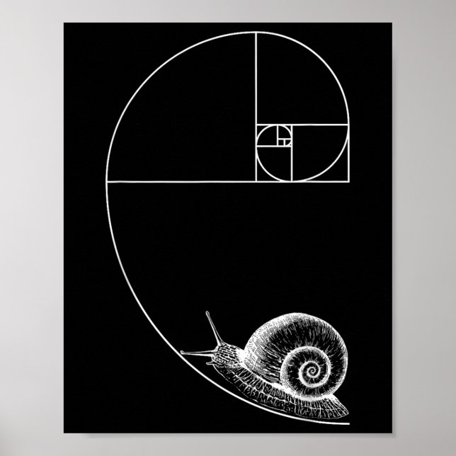 Poster Fibonacci Com Matemática De Caracol Geom Professor (Frente)