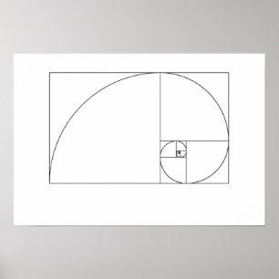 Poster Fibonacci Espiral