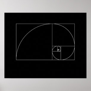 Poster Fibonacci Espiral